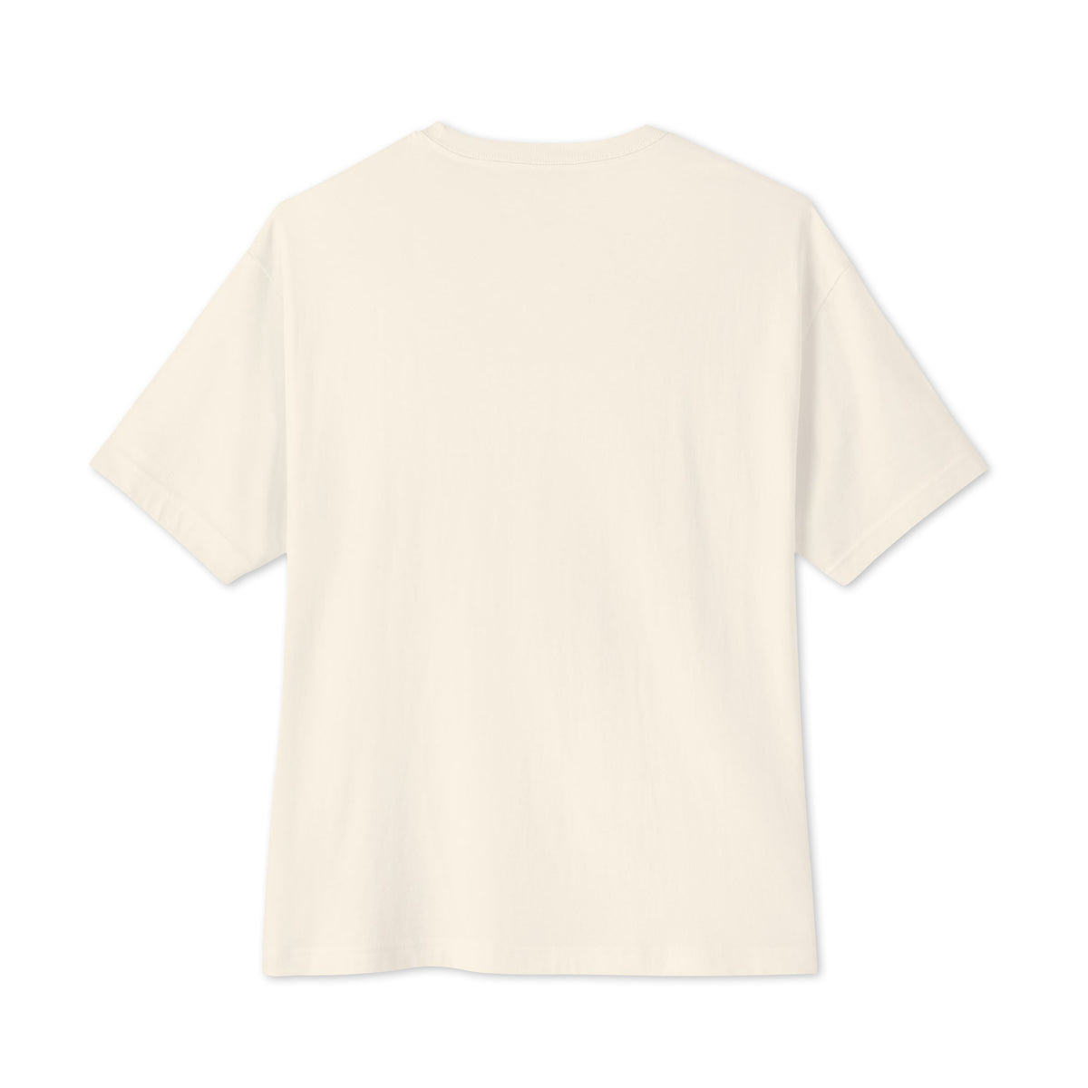 A plain natural-colored short-sleeve oversized t-shirt shown from the back, laid flat against a solid white background at Oatmeal Apparel Co.